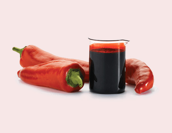 Paprika CHRISLAM SPICE ESSENCE PVT LTD